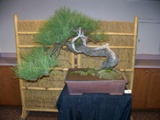 Annual Show 2011 - 29 2011